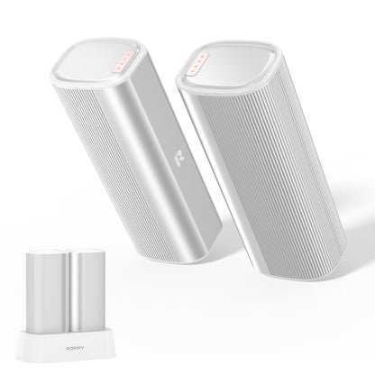 RORRY N1 充電式カイロ 10000mAh 2 個セット
